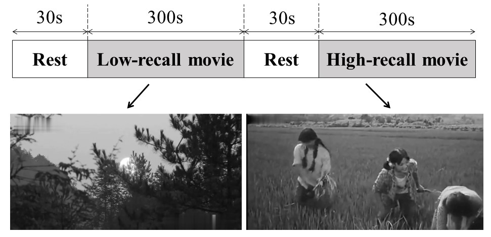 Figure 1. Paradigms and movie examples
